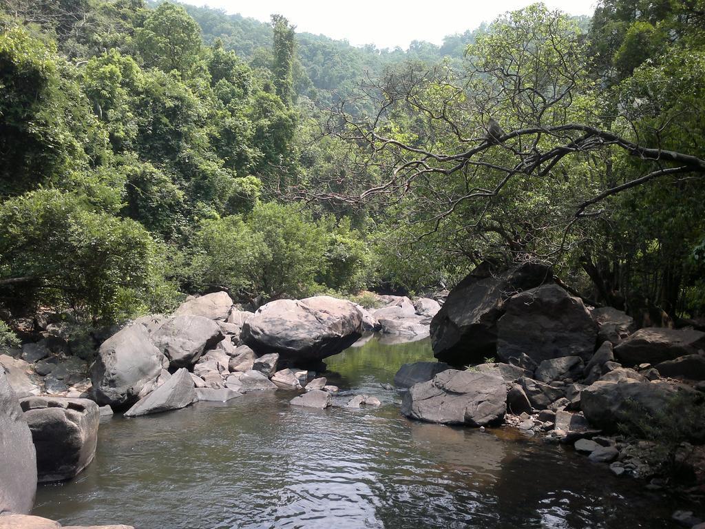 Вилла Dudhsagar Plantation Cormonem Экстерьер фото