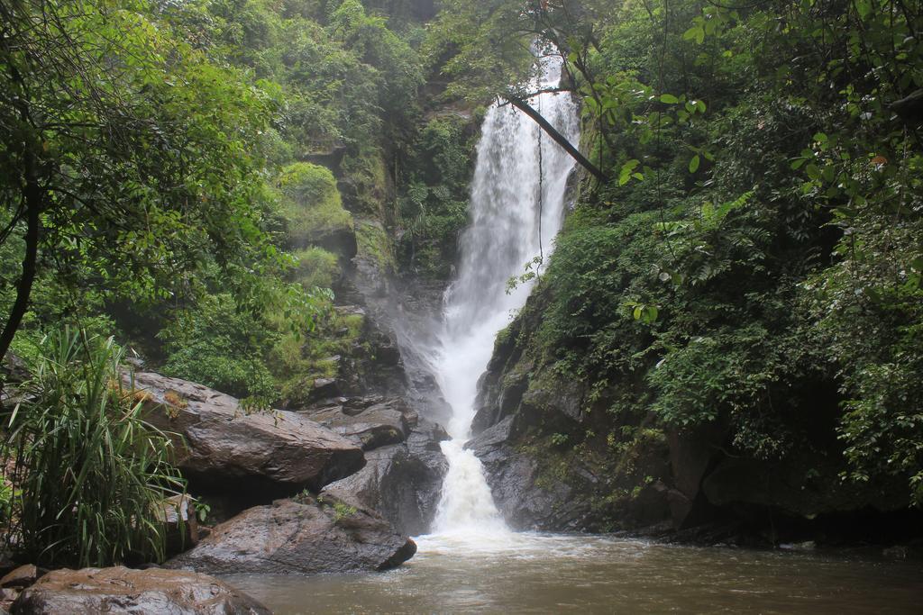 Вилла Dudhsagar Plantation Cormonem Экстерьер фото