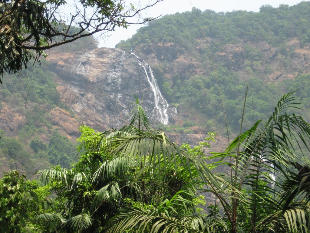 Вилла Dudhsagar Plantation Cormonem Экстерьер фото