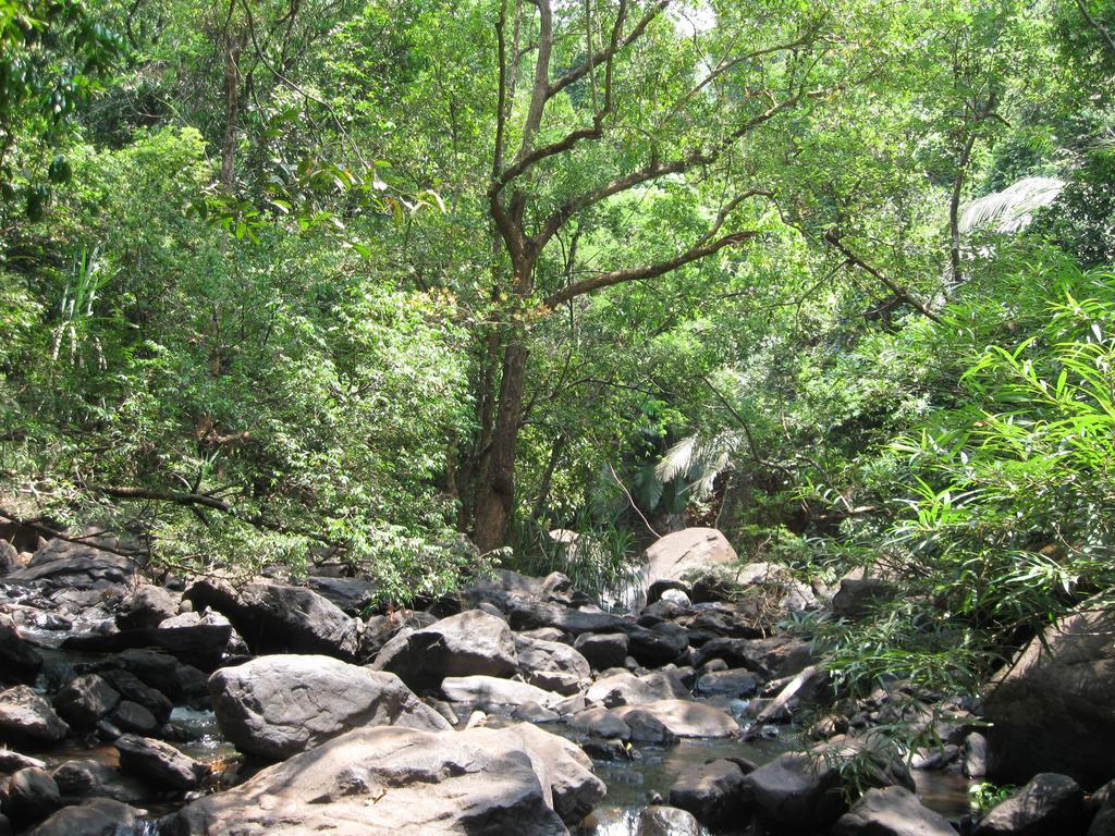 Вилла Dudhsagar Plantation Cormonem Экстерьер фото