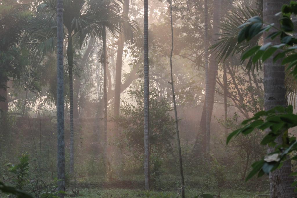 Вилла Dudhsagar Plantation Cormonem Экстерьер фото