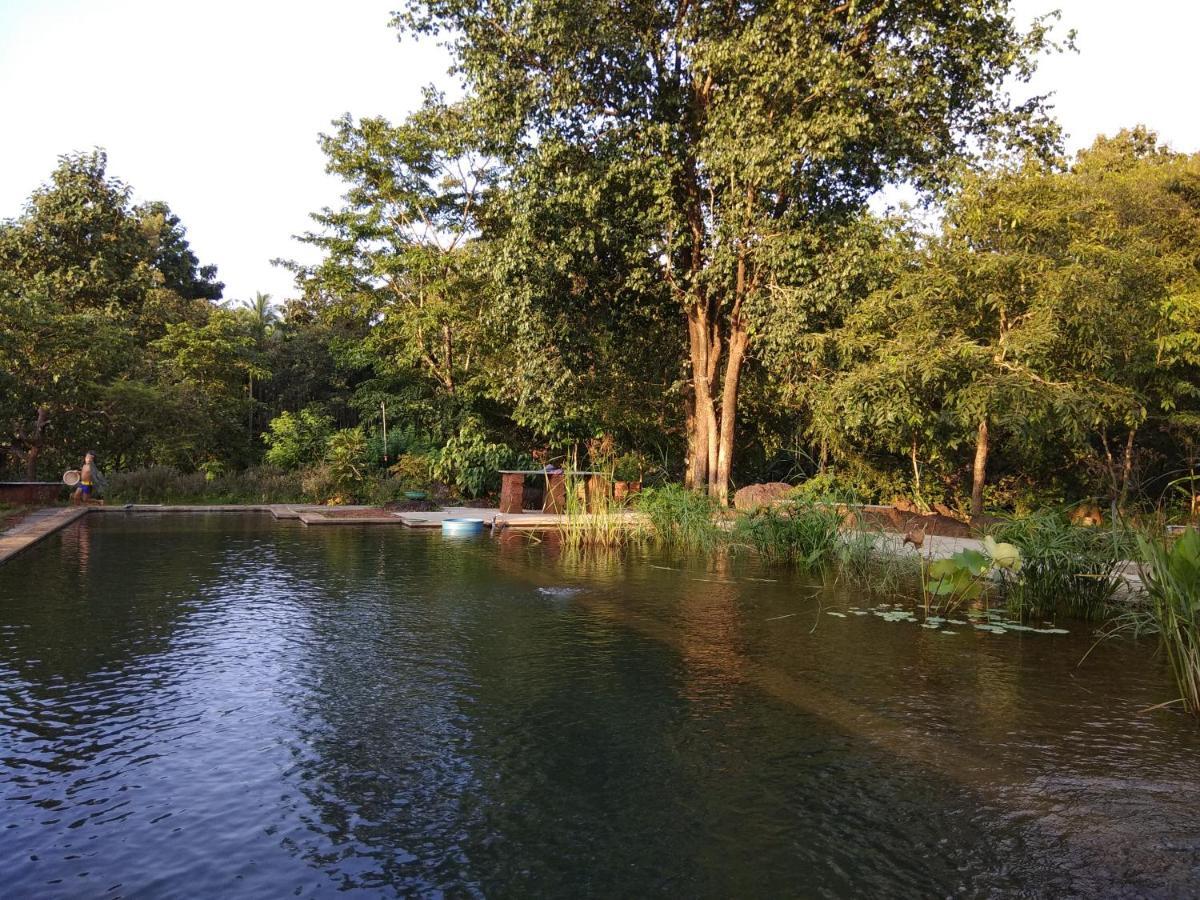 Вилла Dudhsagar Plantation Cormonem Экстерьер фото